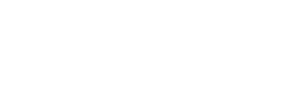 netWorth Blog
